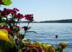 Newsletter #July and August