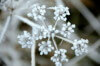 Newsletter #February