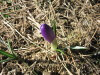 Newsletter #April