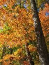 Newsletter #September